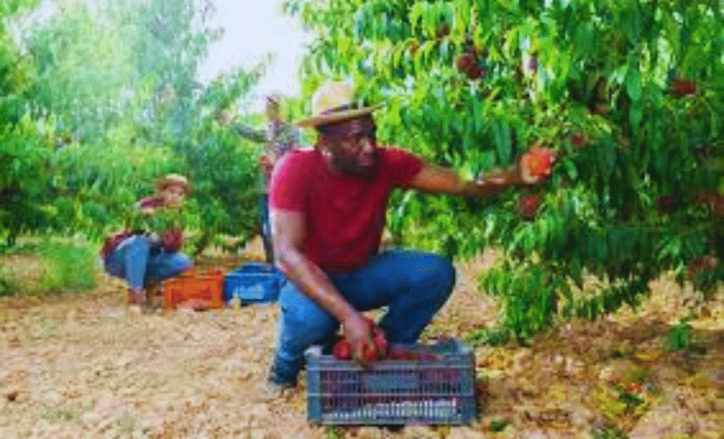 Farm Jobs in Luxembourg with Visa Sponsorship 2025