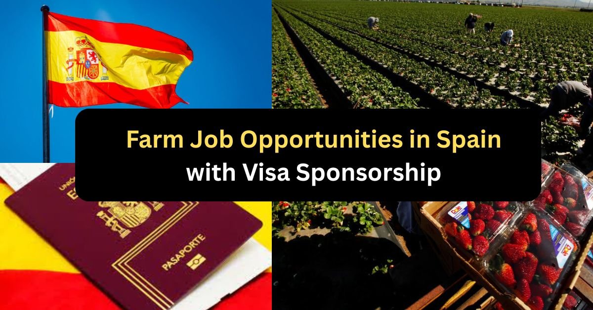 Farm Job Opportunities in Spain 2025 with Visa Sponsorship